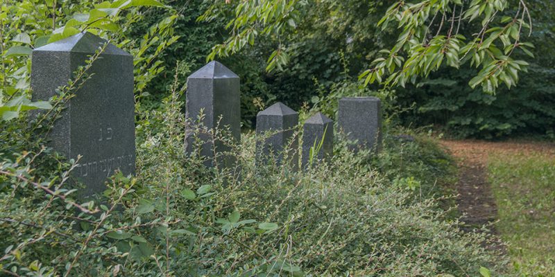 Jüdischer Friedhof Grabsteine © Köster/Seebo