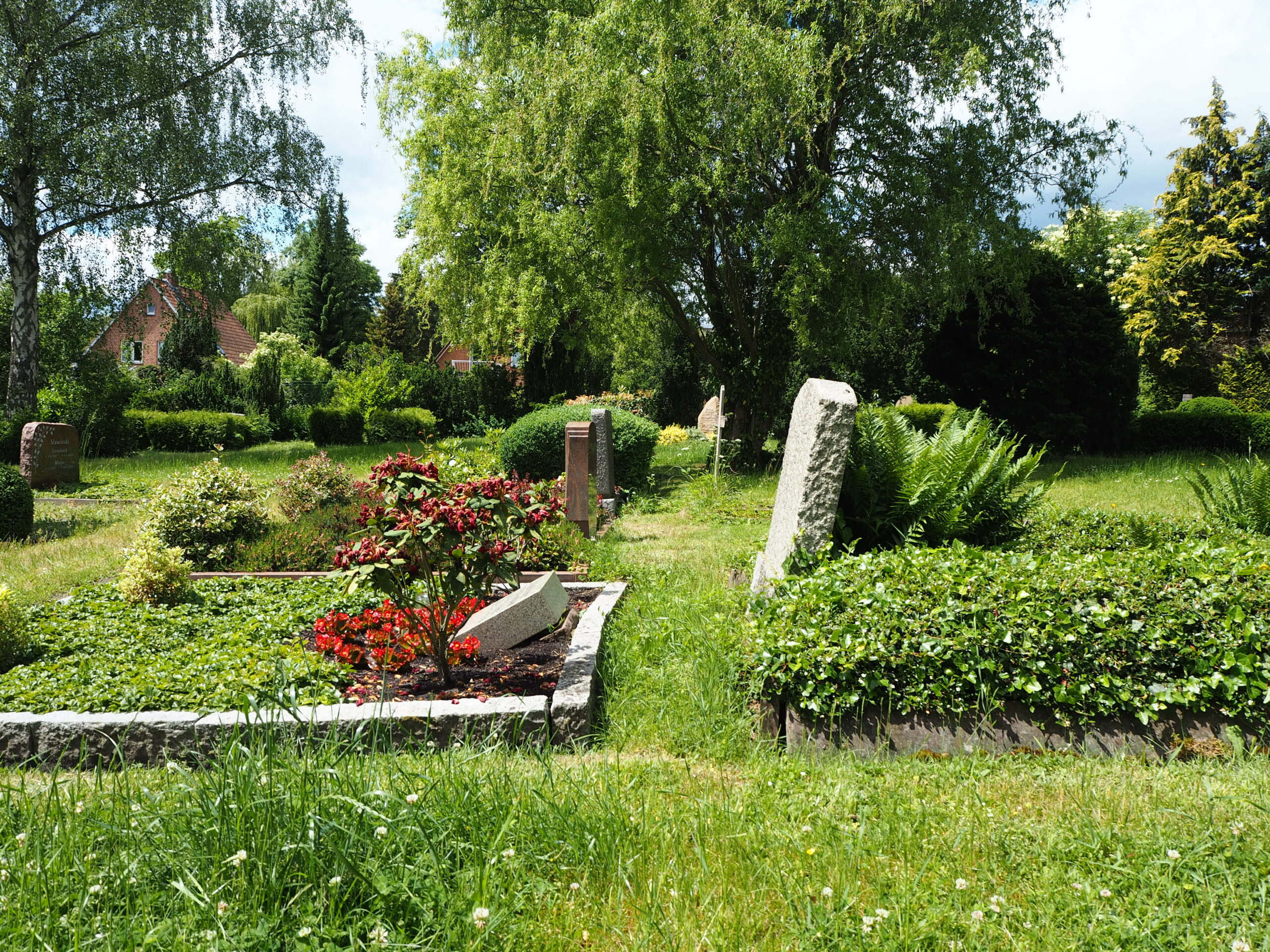Am Michaelisfriedhof unweit des Ochtmisser Kirchsteigs lassen sich die Senkungen insbesondere anhand der schiefstehenden Grabsteine beobachten © Cornehl/Ellerbrock