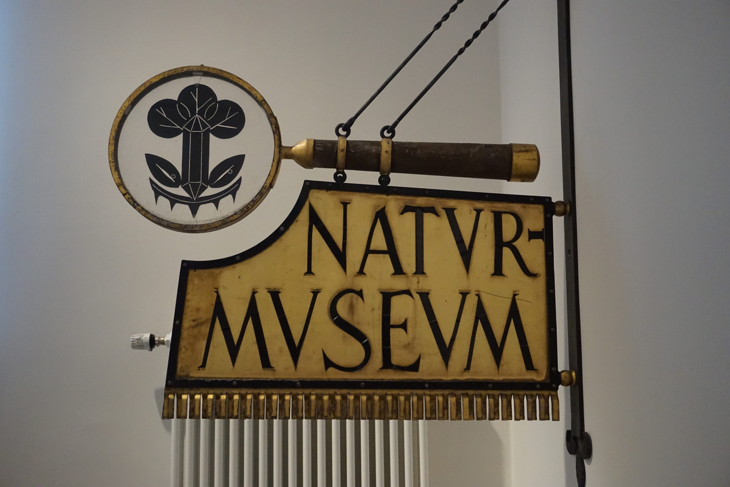 Das ehemalige Naturkundemuseum wurde zusammen mit dem Museum für das Fürstentum Lüneburg und der Ritterakademie zum neuen Museum Lüneburg © Hardt/Gelbe